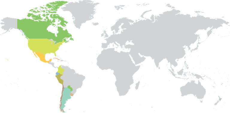 América