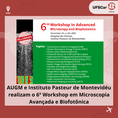 6o Workshop Microscopia Avançada e Biofotônica.png