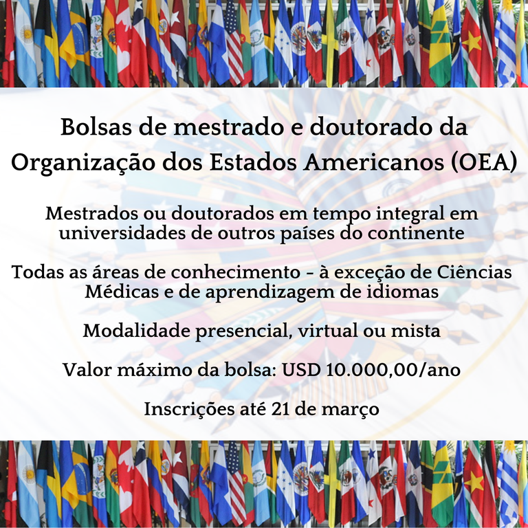 Bolsas pela OEA 2025.png
