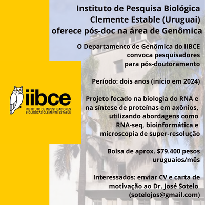 pós-doc IIBCE.png