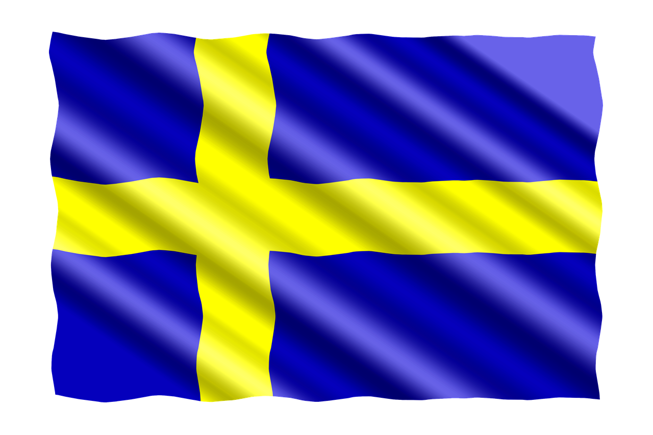 international-2311842_1280.png